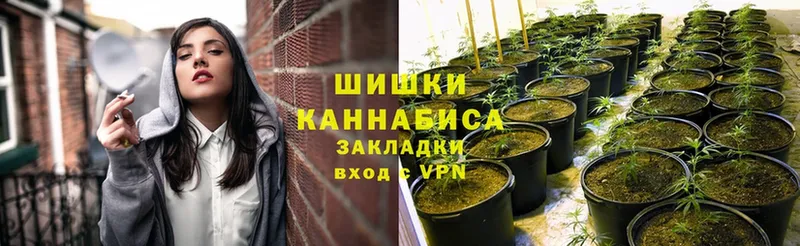 наркотики  Калач  это как зайти  Бошки марихуана гибрид 